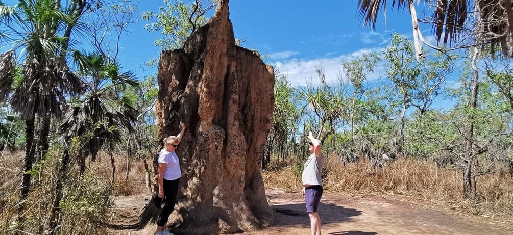 Darwin: Litchfield National Park and Berry Springs Day Tour