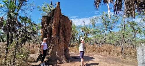 Dari Darwin: Perjalanan Sehari di Taman Nasional Litchfield dengan Transfer