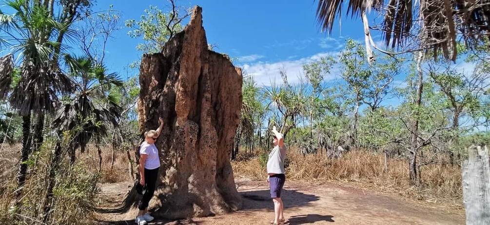 Darwin: Litchfield National Park and Berry Springs Day Tour