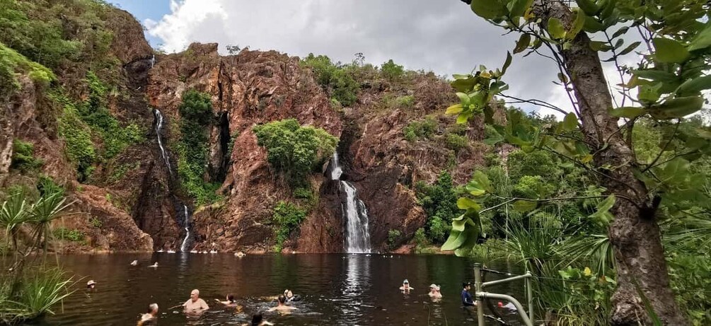 Picture 5 for Activity Darwin: Litchfield National Park and Berry Springs Day Tour