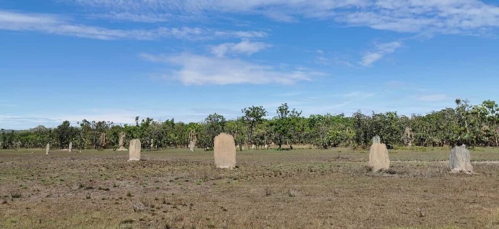 Picture 6 for Activity Darwin: Litchfield National Park and Berry Springs Day Tour