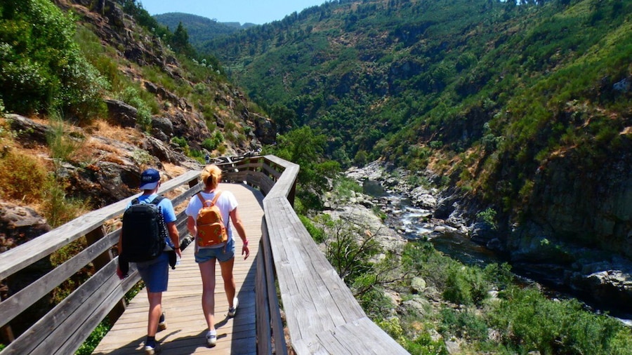Picture 6 for Activity From Arouca: 516 Arouca Bridge & Paiva Walkway Tour