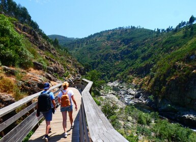 From Arouca: 516 Arouca Bridge & Paiva Walkway Tour