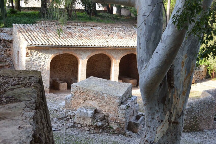 Picture 5 for Activity Mallorca: Discovering 5 Charming Villages of Mallorca