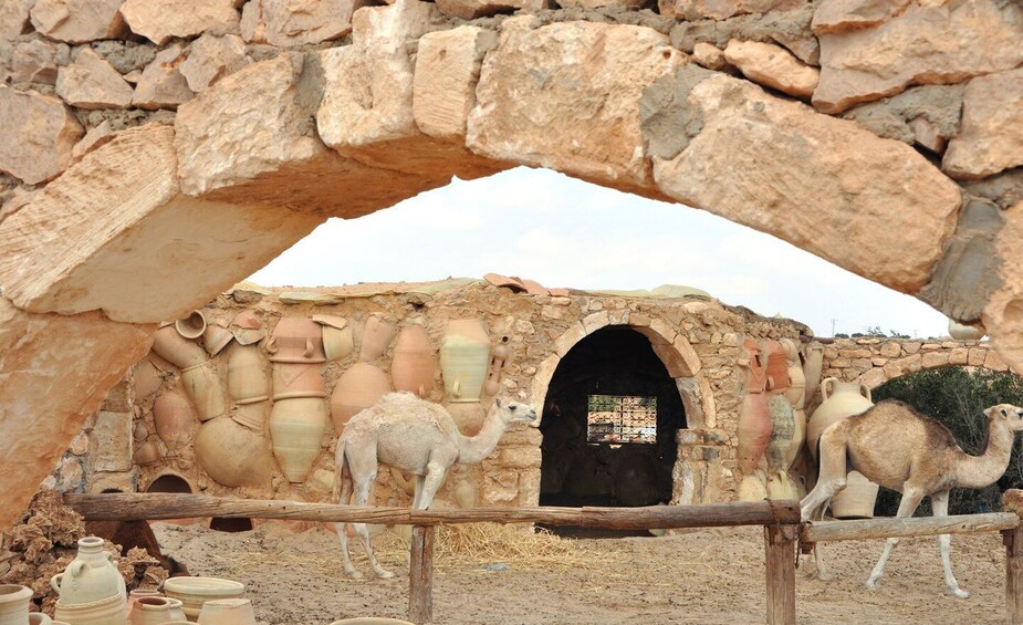 Picture 2 for Activity Djerba: Pottery Village and Heritage Museum Tour