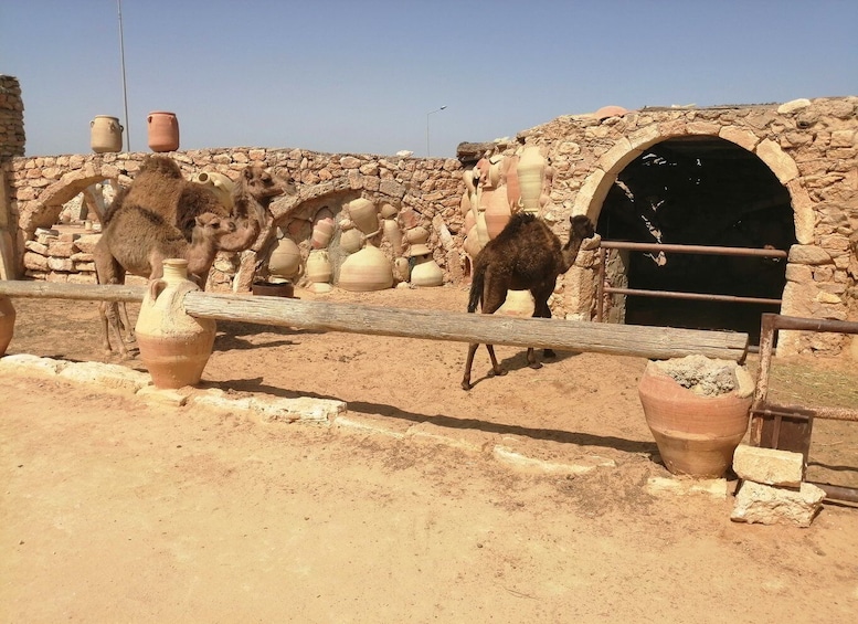 Djerba: Pottery Village and Heritage Museum Tour