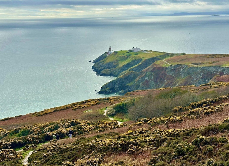 Picture 7 for Activity Dublin: Dublin Coastal Hiking Tour with Howth Adventures