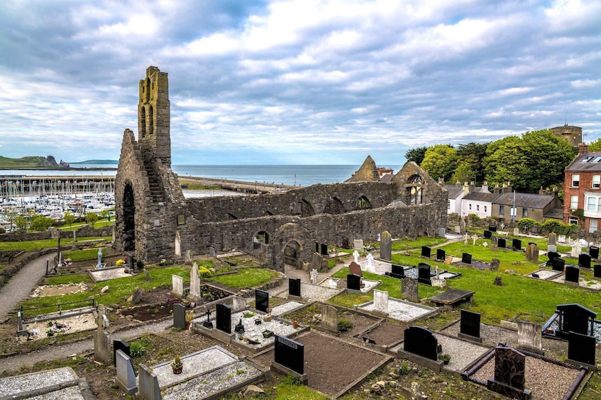 Picture 6 for Activity Dublin: Howth Coastal Hiking Tour