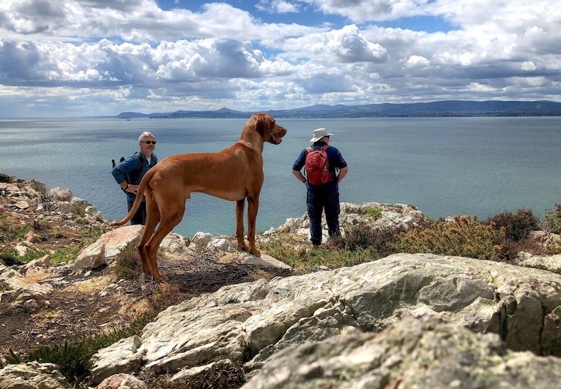 Picture 1 for Activity Dublin: Dublin Coastal Hiking Tour with Howth Adventures