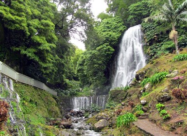 Nordeste Tour ab Ponta Delgada