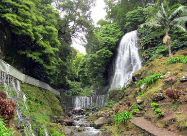 Nordeste Tour ab Ponta Delgada