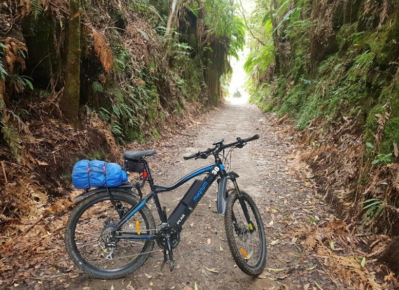 Picture 3 for Activity Waikato: Half-Day Karāpiro River Trail Bike Tour