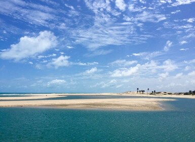 From Fortaleza: Águas Belas Beach Day Trip