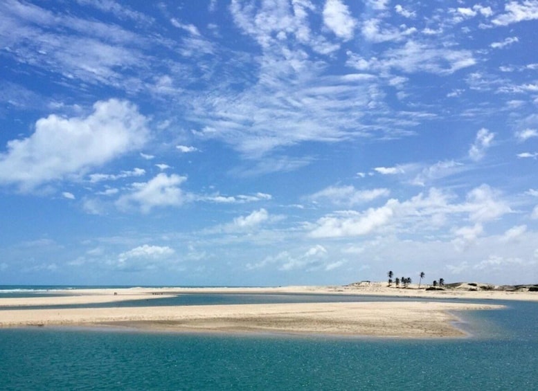 From Fortaleza: Águas Belas Beach Day Trip