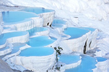 Antalya: Pamukkale-tur på hela dagen