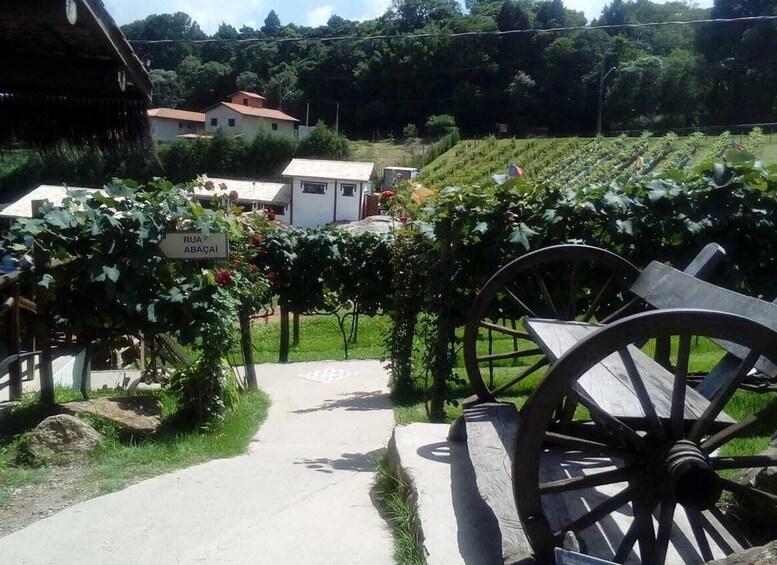 Picture 4 for Activity From São Paulo: São Roque Wineries Route and Shopping Tour