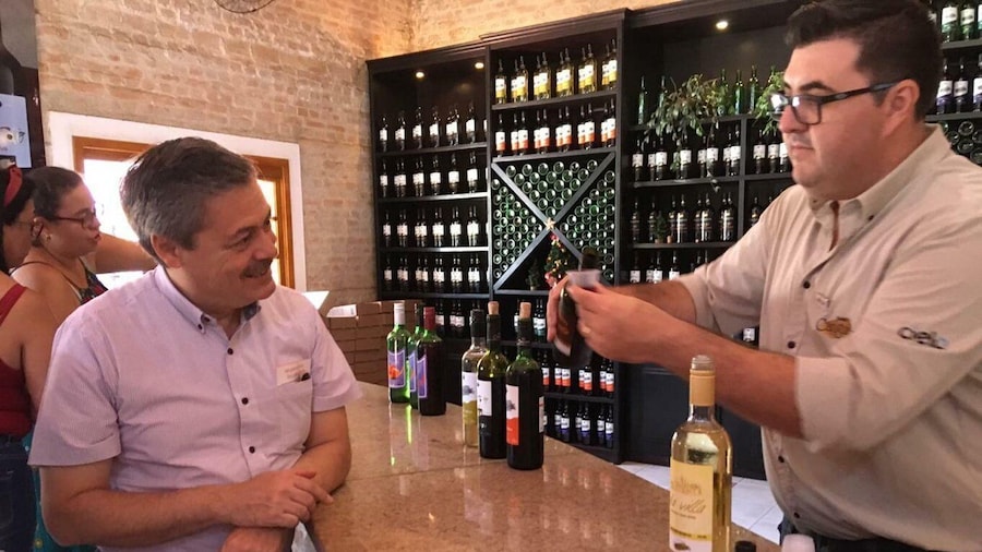 From São Paulo: São Roque Wineries Route and Shopping Tour