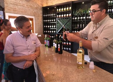 Fra São Paulo: São Roque Wineries Route og Shopping Tour