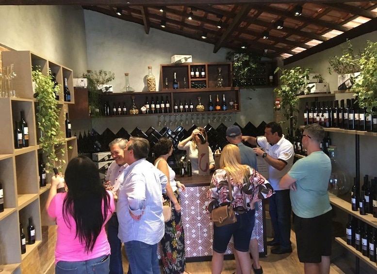 Picture 5 for Activity From São Paulo: São Roque Wineries Route and Shopping Tour