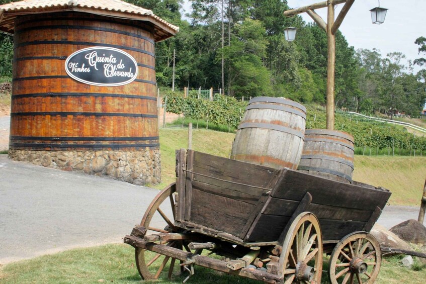 Picture 3 for Activity From São Paulo: São Roque Wineries Route and Shopping Tour