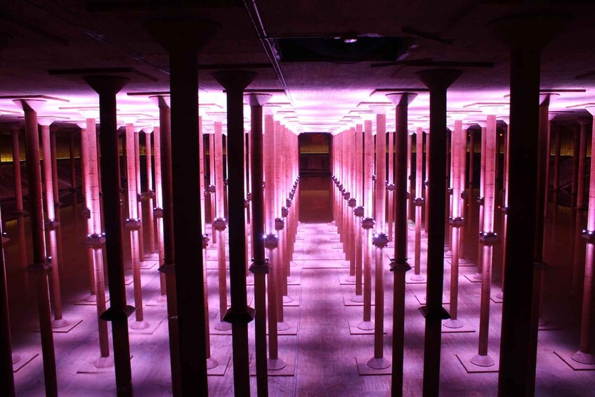 Picture 5 for Activity Houston: Buffalo Bayou Park Cistern History Tour