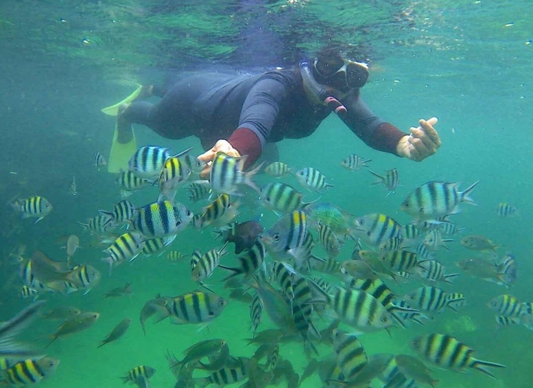 Picture 2 for Activity Bintan snorkeling
