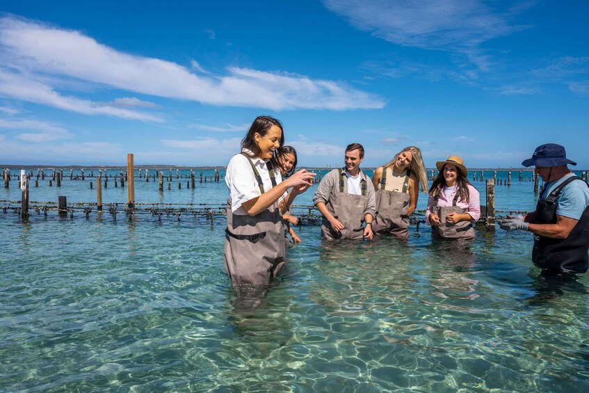 Picture 8 for Activity Coffin Bay: Oyster Farm Boat Tour with Wading & 12 Oysters