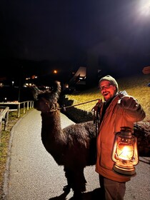 Guided llamawalk with a traditional, homemade cheesefondue