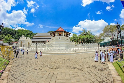 From Colombo: Kandy and Pinnawala Full-Day Trip