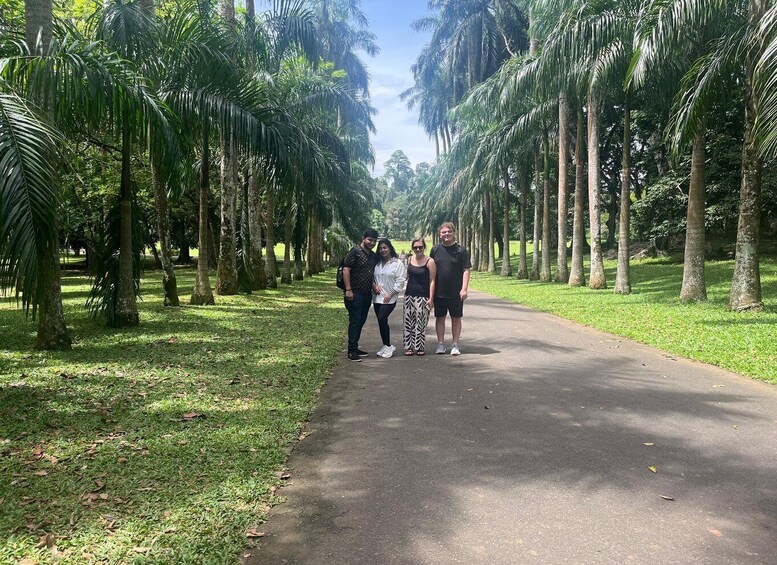 Picture 6 for Activity From Colombo: Kandy and Pinnawala Full-Day Trip
