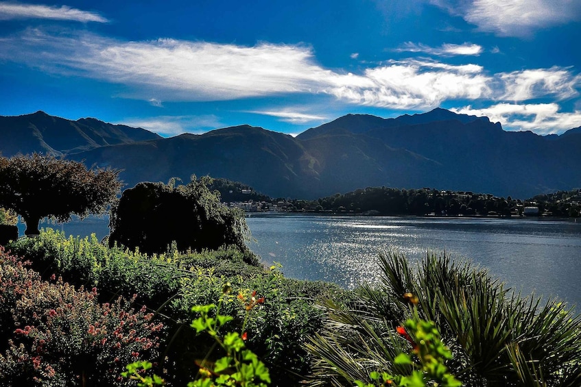 Picture 2 for Activity From Milan: Lake Como Day Trip Bellagio and Villa Carlotta