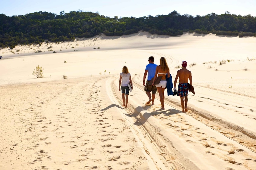 Picture 5 for Activity Gold Coast: Tangalooma Desert Safari Day Cruise Transfers