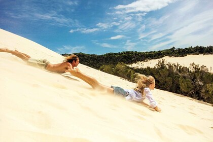 Gold Coast: Tangalooma Desert Safari Day Cruise Transfers