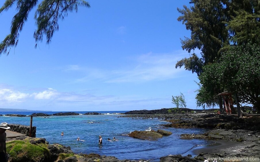 Picture 2 for Activity From Big island-Volcanoes & waterfall tour in a small group