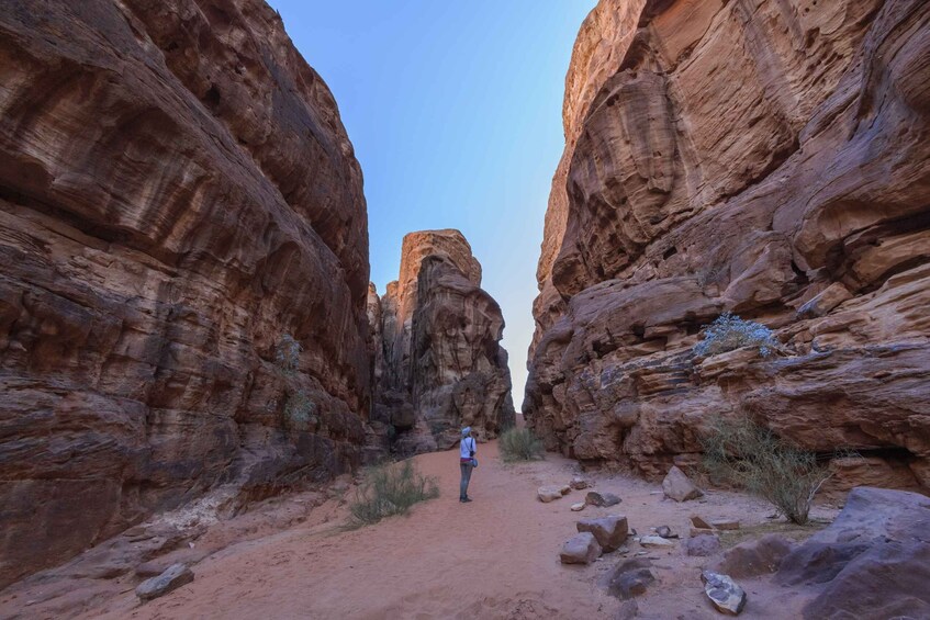 Picture 6 for Activity From Wadi Rum: 8 Hour Jeep Tour with Meal & One-Night Stay