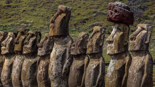 Full day Moai and Mistery