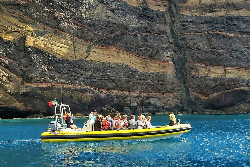 Picture 3 for Activity Madeira: Whale and Dolphin Watching Tour