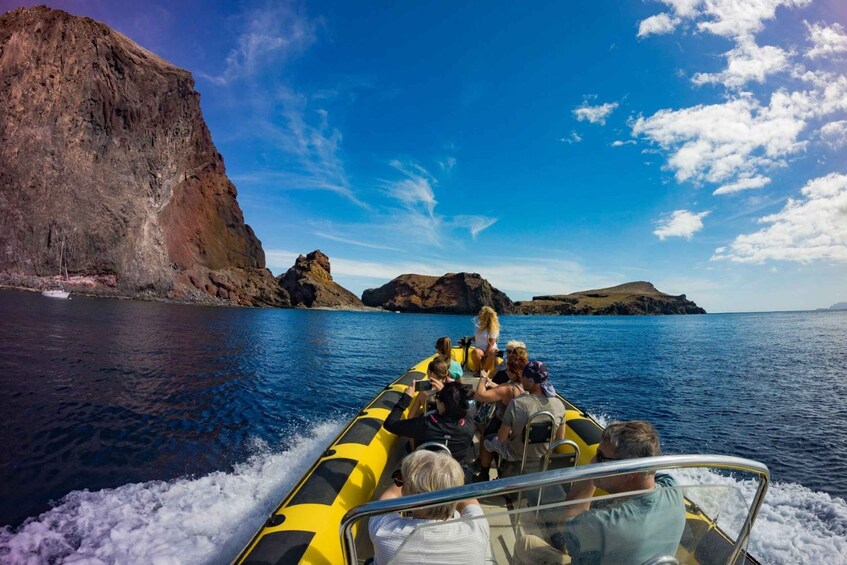 Picture 1 for Activity Madeira: Whale and Dolphin Watching Tour