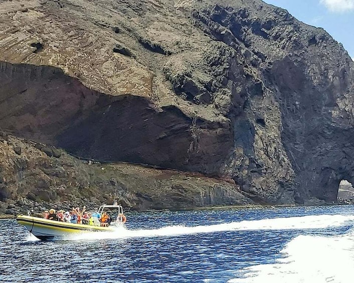 Picture 5 for Activity Madeira: Whale and Dolphin Watching Tour