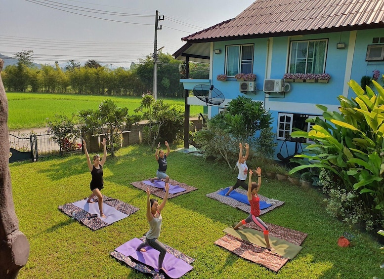 Meditation & Yoga Retreat in Nature