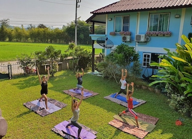 Méditation et Yoga Retraite dans la nature