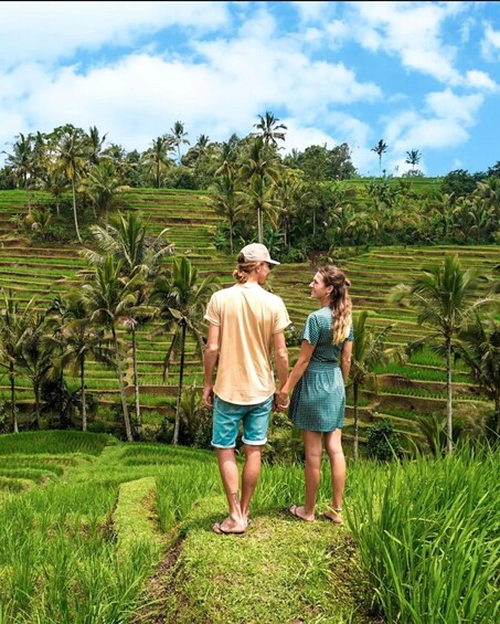 Sightseeing Full-day private Ubud tour