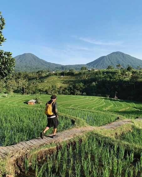 Picture 1 for Activity Sightseeing Full-day private Ubud tour