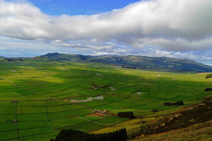 Picture 4 for Activity Terceira Island: Caves and Craters Tour