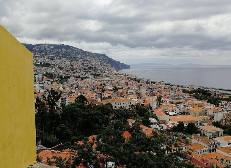 Picture 2 for Activity Funchal: City Tour in a Tukxi