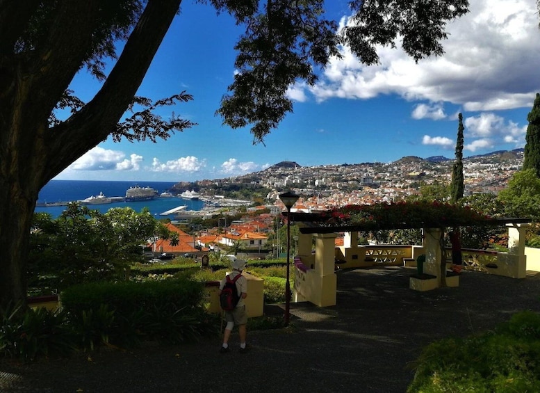 Picture 1 for Activity Funchal: City Tour in a Tukxi