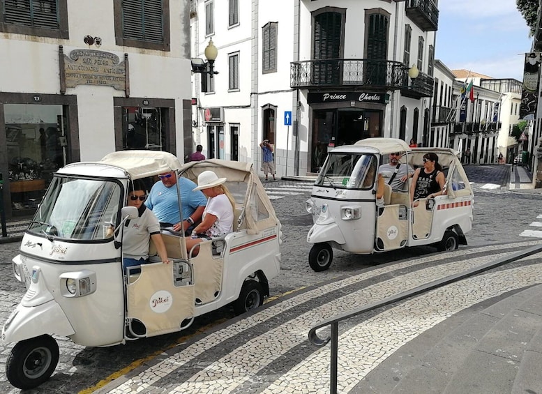 Picture 8 for Activity Funchal: City Tour in a Tukxi
