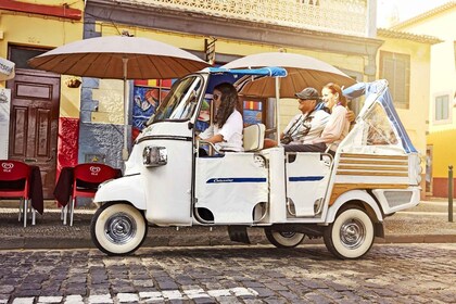 Funchal: Stadtrundfahrt mit einem Tukxi