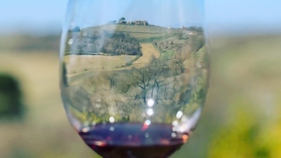 Montepulciano: Wine Tour and tasting