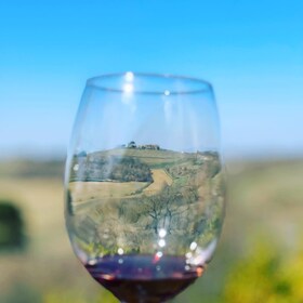 Montepulciano: Weintour und Verkostung